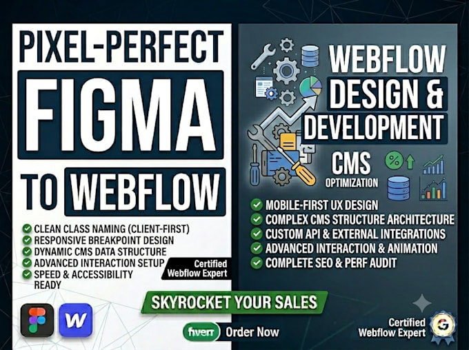 expert webflow developer for custom websites