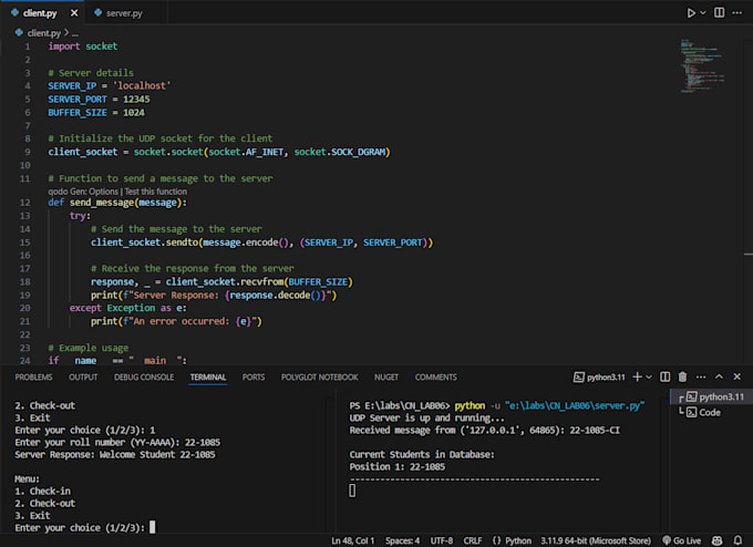 socket programming and netwroking in python cpp