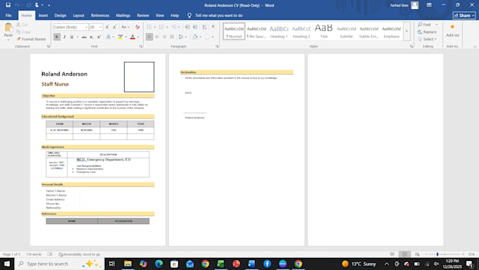 provide professional formatting of excel, word and powerpt