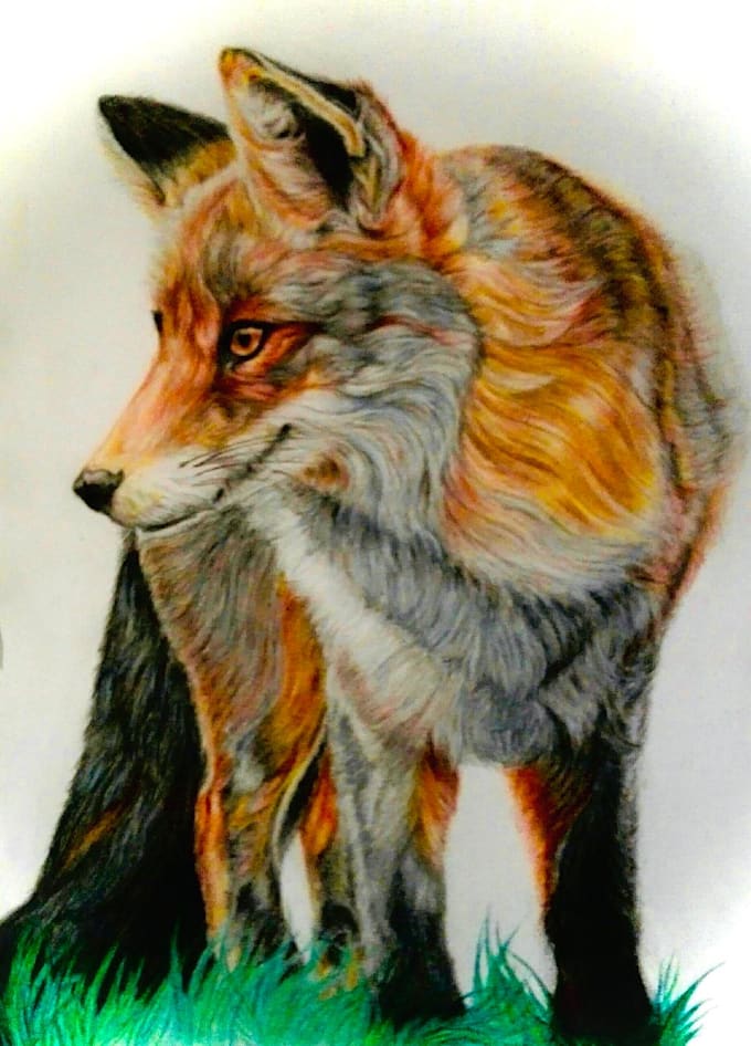 dibujos de animales a lápiz o digital