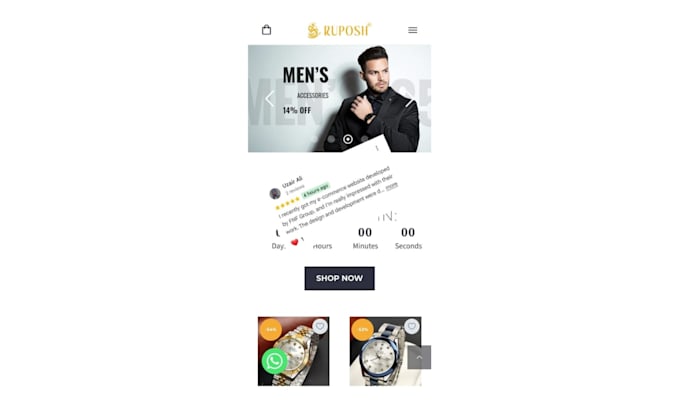 build a modern wordpress business or ecommerce website