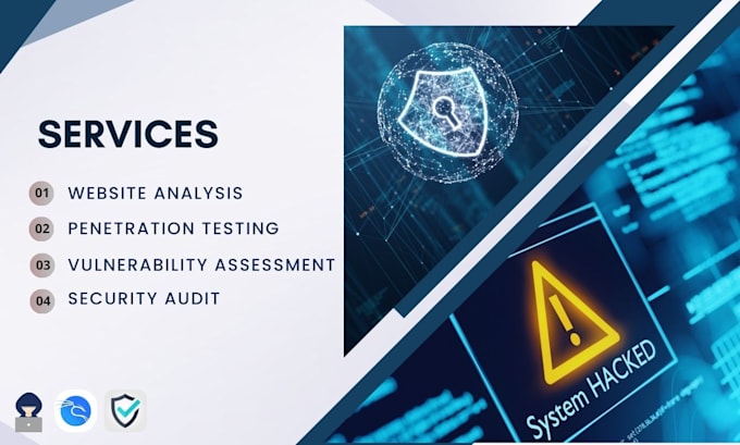 Perform website penetration testing, vulnerability assessment and ...