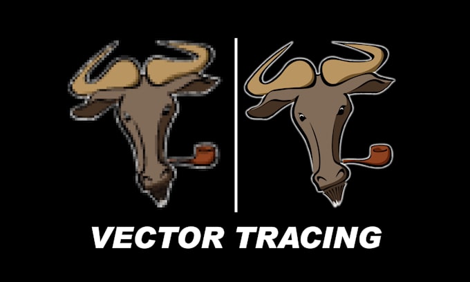 do vector tracing, redraw, image to vector