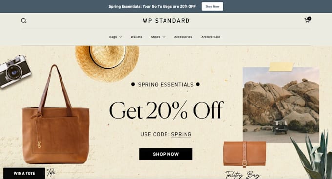 build a professional dropshipping shopify store