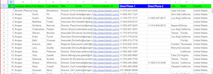find all direct phone numbers, emails, and data enrichment
