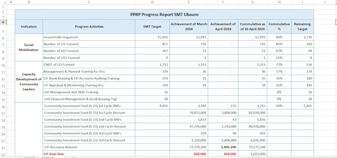 excel data entry analysis reporting