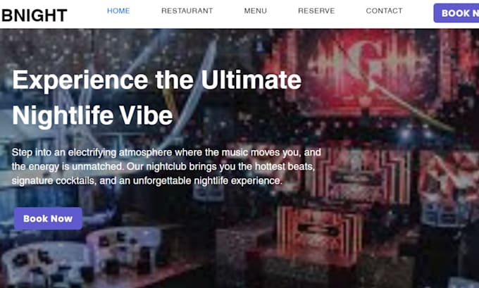 night club website festival website lounge website night party website nightclub