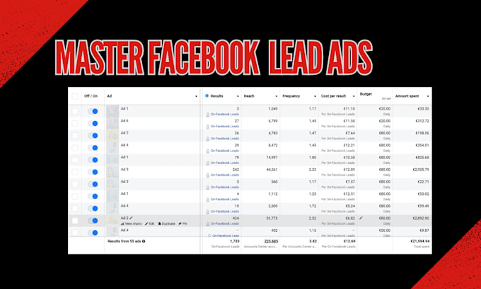 do 1 on 1 coaching for lead campaigns for meta ads