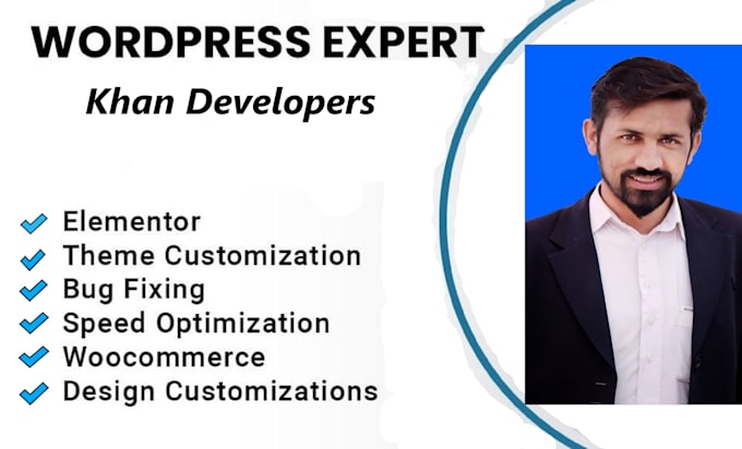 develop or redesign a professional wordpress website