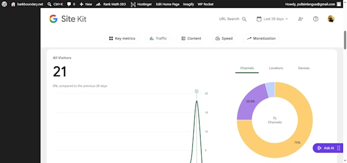 do a professional website SEO audit report with semrush insights