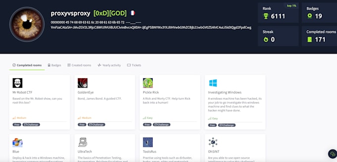 perform cybersecurity consulting for