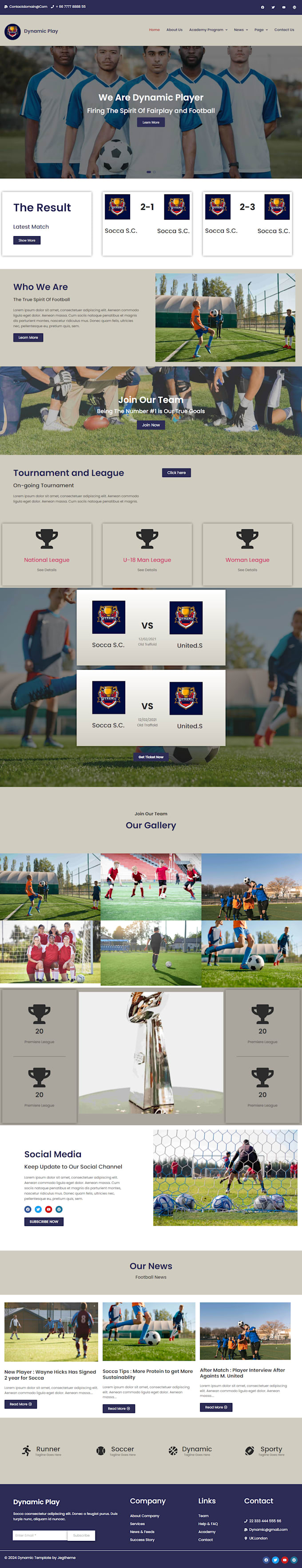 developed responsive wordpress website