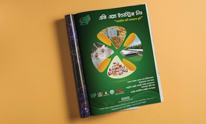 design a professional brochure or product catalog