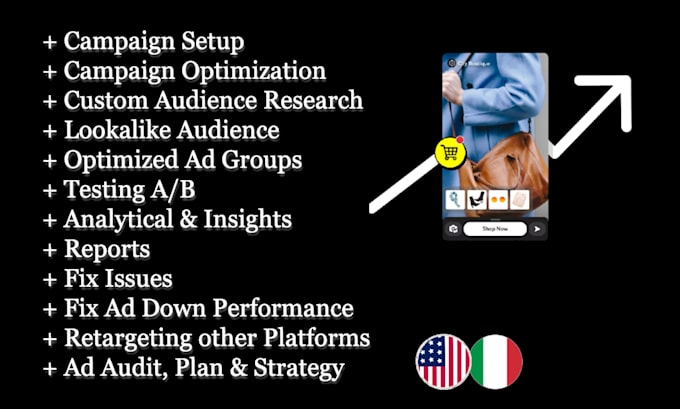 snapchat ads campaign manager, setup and optimize