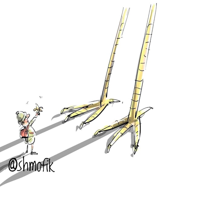 do humor black white nonfiction illustrations