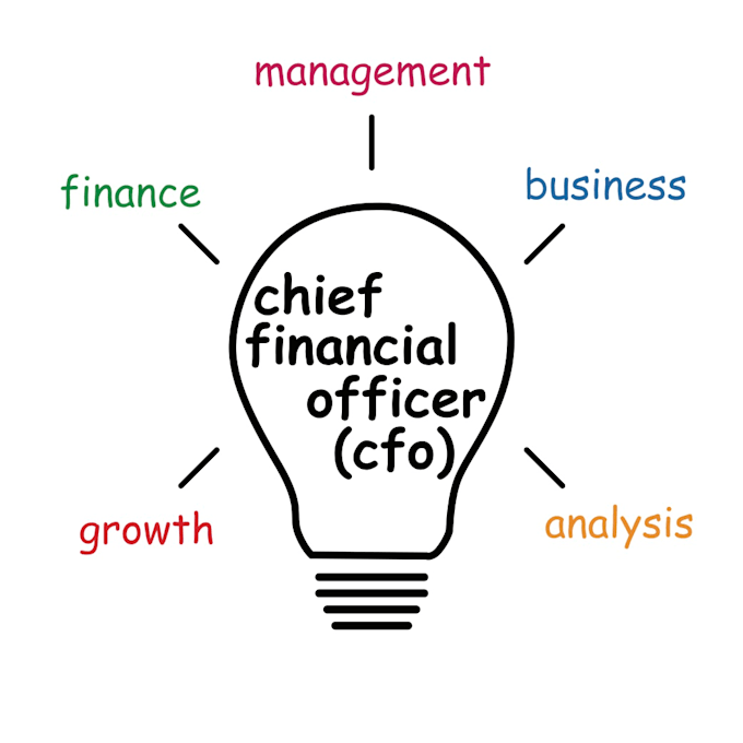 be your financial controller, virtual cfo,and fractional cfo
