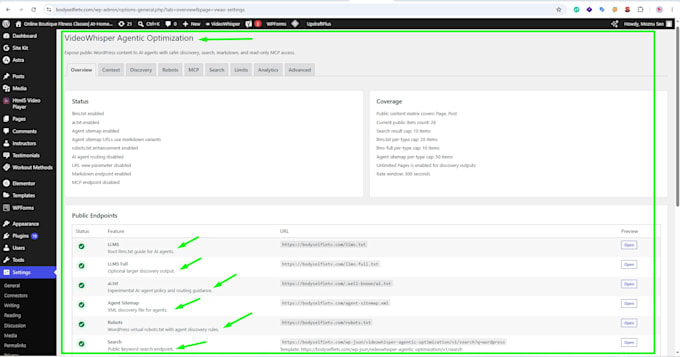 do ai SEO, GEO, aeo and agentic optimization for your wordpress wix website