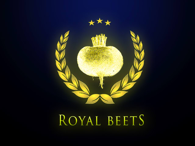 do a character logo design  icon in 12 hr n vectorise it