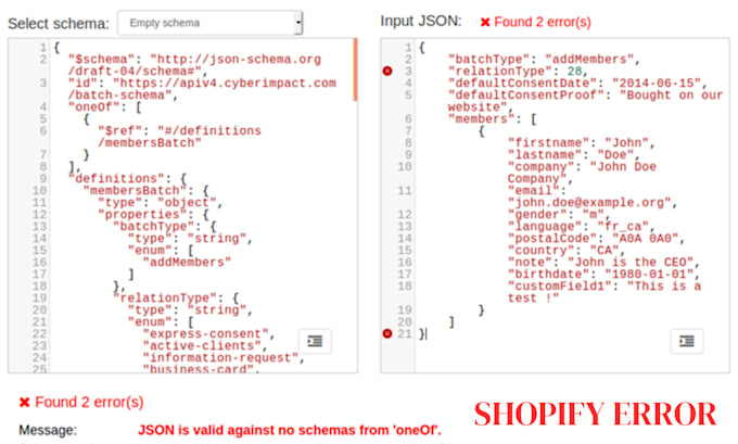 fix shopify bug fixing, errors and custom coding services