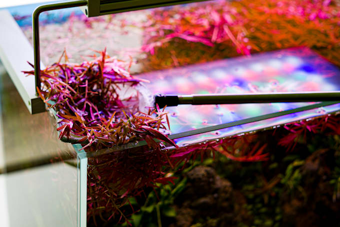 write informative and useful articles on all about aquariums