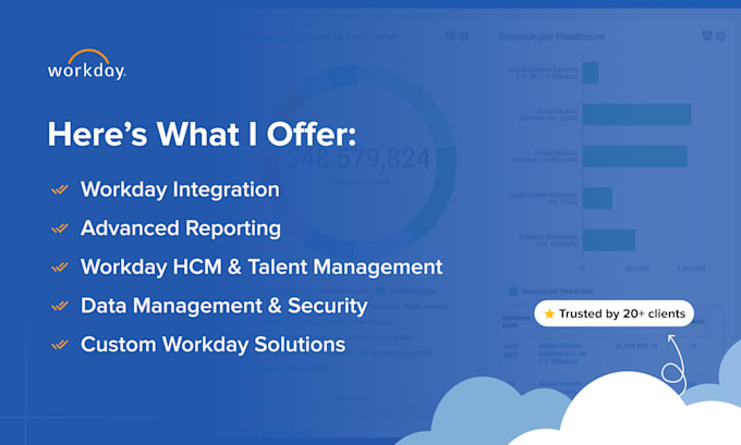 be your workday integration and reporting specialist