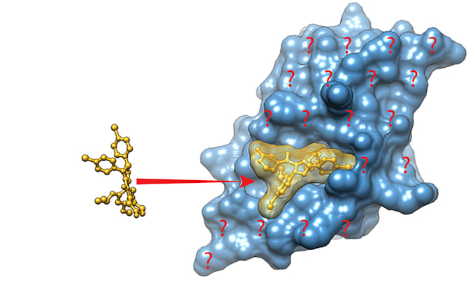 elevate your research via molecular docking, virtual screening and MD simulation