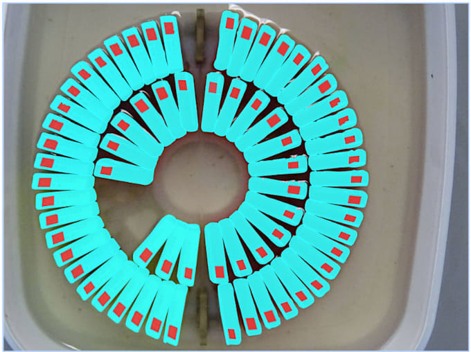 custom data annotation, segmentation masks, bounding boxes and video annotation
