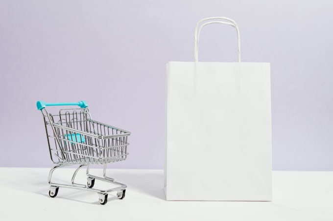 create a professional wordpress online store for your business