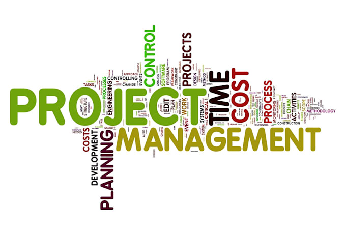 manage your web or app development project