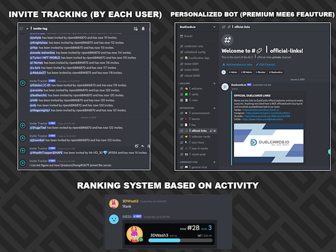setup custom discord server professionally