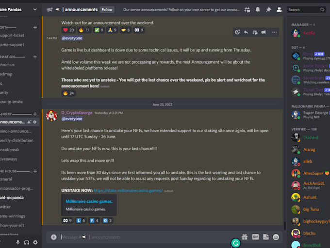 setup custom discord server professionally