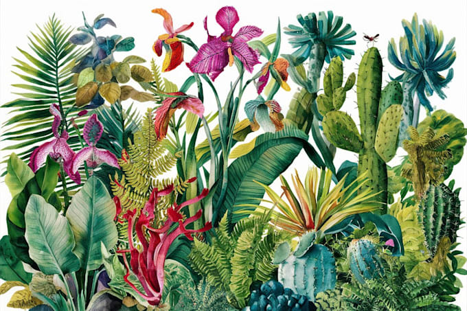 draw botanical illustration art for you
