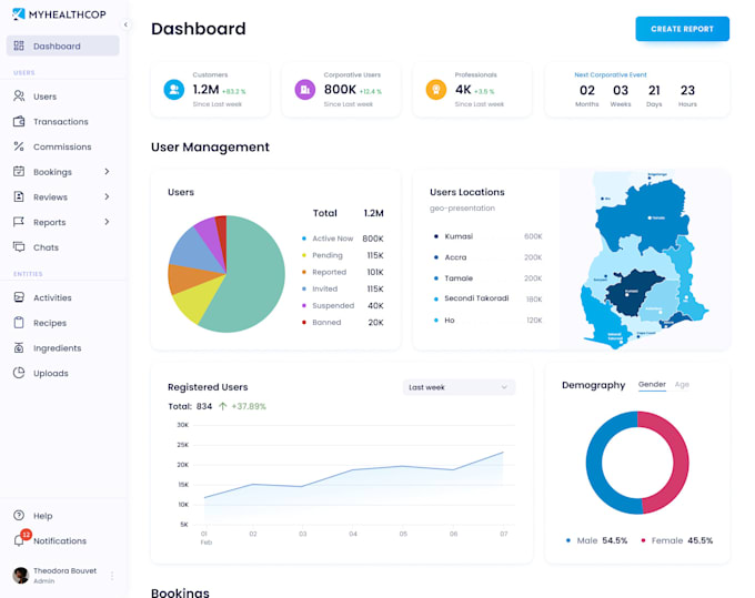 Create a professional user interface and experience design by ...
