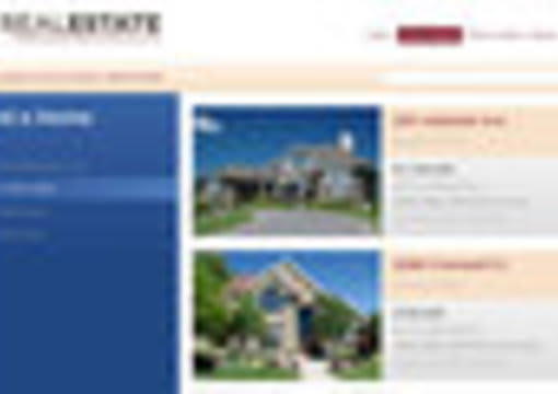 give You a Real Estate Professional Wordpress Template Theme