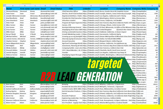 do niche specific b2b lead generation that delivers results