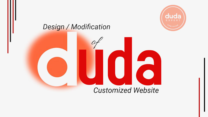 design and develop an attractive custom duda website