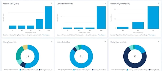customize your salesforce reports, dashboard, and data scrubbing