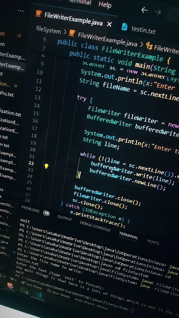 solve java programming problems and coding projects