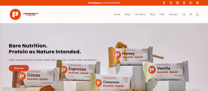 setup shopify store and redesign completely