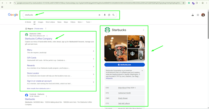 do ai SEO aeo and GEO optimization for your wordpress, wix, webflow website