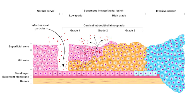 design your scientific and educational illustrations