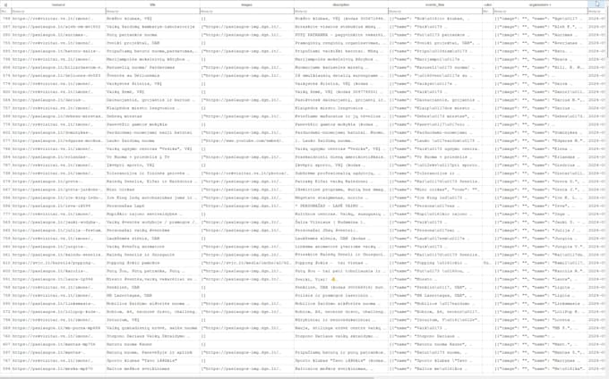 code custom python web scraping scripts using selenium or playwright