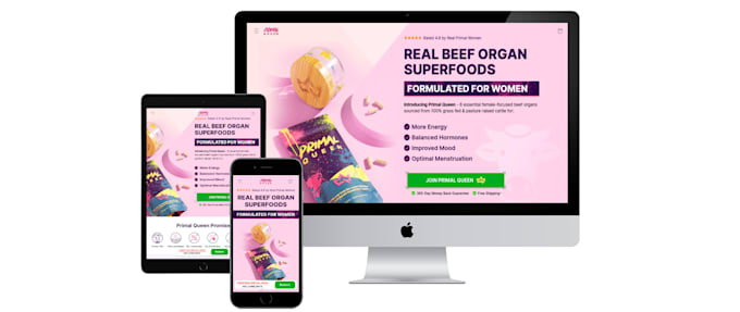 copy clone duplicate shopify store design