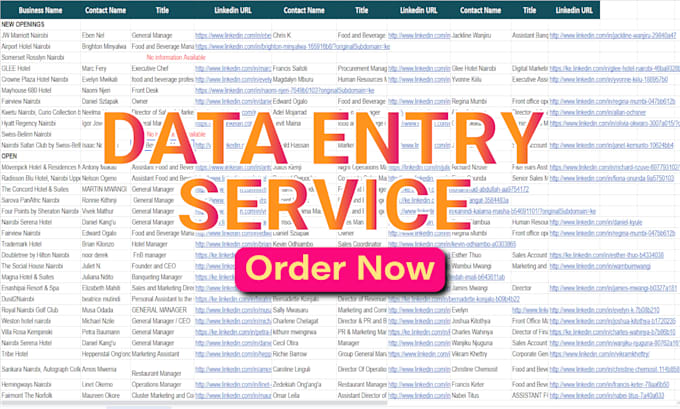 perform accurate data input, web research, copy paste work, and excel data entry