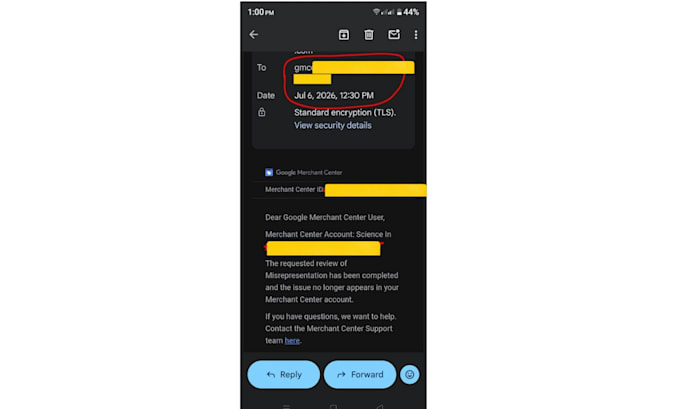 fix google merchant center misrepresentation