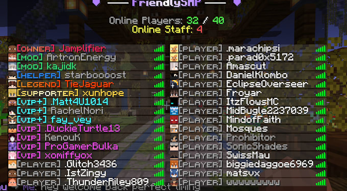 setup a minecraft server and configure plugins for you
