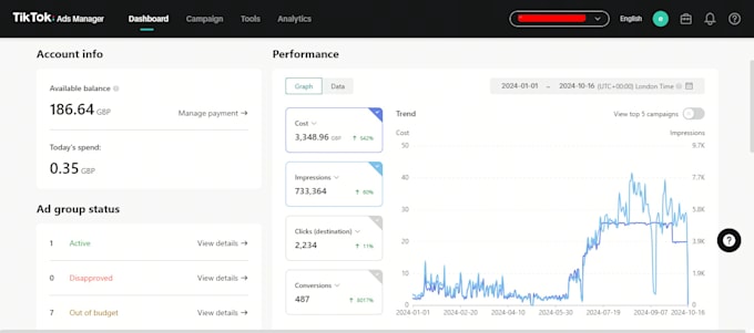 setup and optimised tiktok ads for sales and leads
