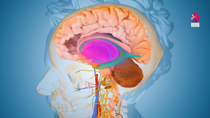 create high end 3d medical animation
