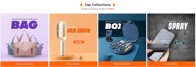 build your professional dropshipping shopify store