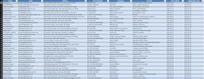 do professional data entry, pdf to excel, image to excel